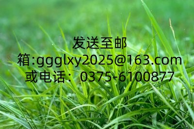 E006
